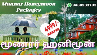 Munnar honeymoon packages  Munnar tree house  Munnar tea valley resort Munnar tourist places [upl. by Aran872]