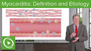 What is Myocarditis and What Causes It [upl. by Elpmet]