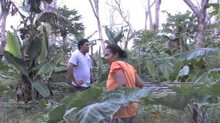 THE PACIFIC WAY STORY  MORDI Tonga Innovative Rural Development [upl. by Atnuahs]