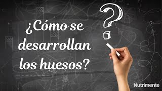 ¿Cómo se desarrollan los huesos [upl. by Chere]