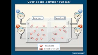 Questce que la diffusion dun gaz [upl. by Asiled]