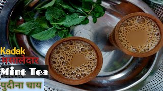 नाथद्वारा की फेमस पुदीना चाय पीने से दिल दिमाग हो जाए तरोताज़ा। Refreshing Hot Pudina Chai। Mint Tea। [upl. by Einnej]