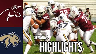 Burros Blancos IPN vs Pumas FESA Highlights  Semana 4  Liga Mayor ONEFA 2024 [upl. by Norab]