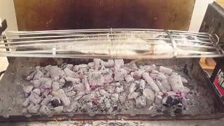 Grilled Meagre Fish  Μυλοκόπι στη σούβλα [upl. by Nodearb]