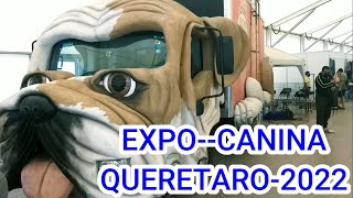 EXPO CANINA QUÉRETARO 2022 MÉXICO ASI SE VIVIO [upl. by Meyer]