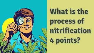 What is the process of nitrification 4 points [upl. by Atinniuq]