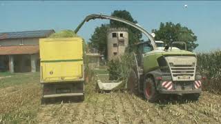 Ceroso 2022 Claas Jaguar Cremona [upl. by Lebatsirhc]