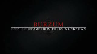 Burzum  Feeble Screams from Forests Unknown cover by Lex Lux [upl. by Eitisahc443]