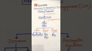 PROSTAGLANDIN BIOSYNTHESIS mbbs medicine doctor neetpg [upl. by Lewert]