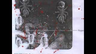 Bowel Fetus  Bloodsoaked Doomageddon Full [upl. by Green]