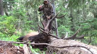 Oregon archery elk hunting 2018 Lindsey tags here first Elk in the high mountains of the Cascades [upl. by Mercorr]