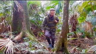 Rainforest Camping Overnight hike in the Cabbage Palms [upl. by Carbrey954]