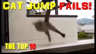 Cat Jump Fails Top 10  Hilarious Funny Cats amp Cute Kittens [upl. by Sorips]