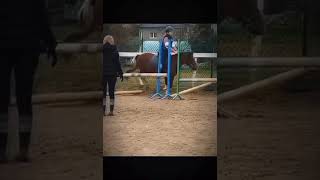 skoki na Basi przez Cavaletti horse horseriding horsejumps [upl. by Yna]