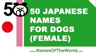 50 japanese names for female dogs  best dog names  wwwnamesoftheworldnet [upl. by Keri452]