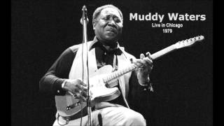 Muddy Waters  Live In Chicago 1979 [upl. by Adnor]