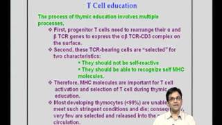 Mod13 Lec27 T cell Activation  Differentiation [upl. by Isabel]