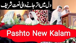 Pashto New Naat Sharif 2024  Luqman Sound [upl. by Enilekaj]