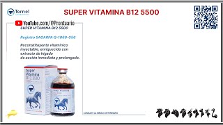 SUPER VITAMINA B12 5500 [upl. by Hollenbeck901]