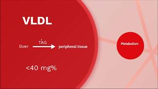 Lipoprotein • VLDL metabolism  Biochemistry [upl. by Anifares2]