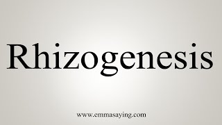 How To Say Rhizogenesis [upl. by Htebazileyram]