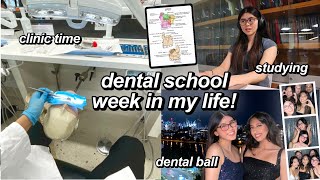 DENTAL SCHOOL STUDY VLOG  Week in my life at UQ [upl. by Robbyn]