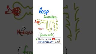 Loop Diuretics  Kidney  Pharmacology physiology anatomy biology nurse doctor mbbs science [upl. by Yelroc]