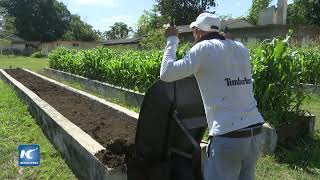 Cuba produce biofertilizantes y bioestimulantes para incrementar rendimiento agrícola [upl. by Milena617]