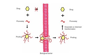 Prodrug41 [upl. by Lrad]