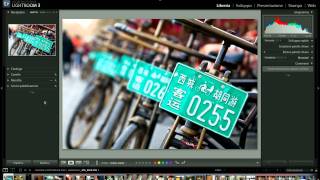 Tutorial Lightroom Italiano  Introduzionemov [upl. by Anomor]
