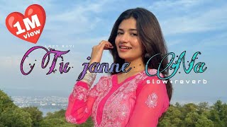 Tu janne na 🥀 slowreverb  use headphone mind relex viral trending song lofi arijitsingh [upl. by Afton647]