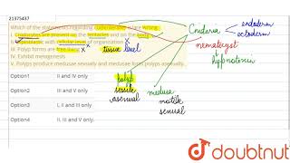 Which of the statements regarding coelenterates isare wrong I Cnidocytes are [upl. by Novat]