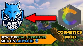 HOW TO INSTALL COSMETICS MOD ON LABYMOD 100 WORK [upl. by Tan]