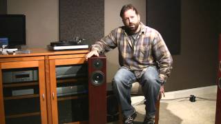 Totem Acoustic Hawk Speaker Review [upl. by Vaden]