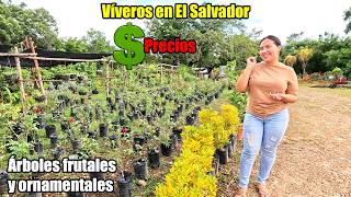 😍VÍVEROS EN EL SALVADOR😮 PRECIOS VARIEDADES Y CUIDADOS DE LAS PLANTAS [upl. by Marcia]