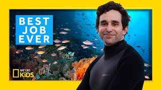 Marine Biologist David Gruber  Best Job Ever [upl. by Faunia]