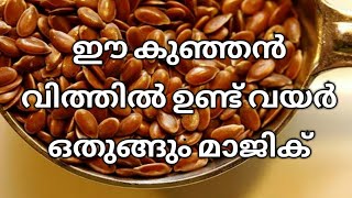 ഈ കുഞ്ഞൻ വിത്തുപയോഗിച് ഒരുമാസം കൊണ്ട് വയറു കുറക്കാം Flaxseed water to reduce belly fat in a month [upl. by Edmonds]