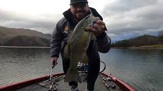 Watauga lake bass fishing [upl. by Khalil]