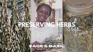 LONG TERM STORAGE OF SAGE AND BASIL FOOD PRESERVING [upl. by Tolley]