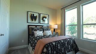 Timber Ridge Conroe Model  Impression Homes [upl. by Kelula73]