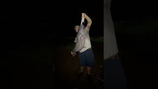 Big 25lb Catfish at Big Rock Park Pt2 big viralvideo shortvideo fish catfishing reels angler [upl. by Montana]