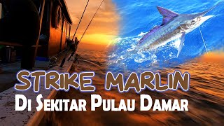 STRIKE MARLIN di SEKITARAN PULAU DAMAR  MANCING DI KEPULAUAN 1000 [upl. by Dayir413]