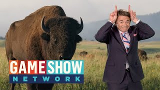 NEW Episodes of America Says Coming May 31  Game Show Network [upl. by Neruat]