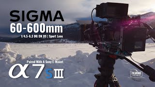 Sigma 60600mm DG DN  Sony E  Mount  A Review From A Wildlife Filmmaker [upl. by Rosalia155]