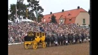 16Spänner Postkutsche Moritzburg  Hengst springt über die Bracke bei der Hengstparade [upl. by Christianson]