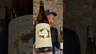 Pinot Grigio vs Pinot Gris What is the difference [upl. by Andromada]