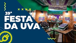 Festa da Uva tradição e uma programação para todos os gostos [upl. by Iveel]