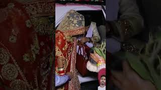 Br Ajit ji Prajapati hindi shaadi short 2024 Haryana short video [upl. by Baudin]