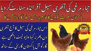 Lohmann Brown Egg Laying Hen  Poultry Ideas [upl. by Nalla]