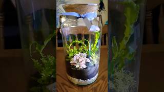 😍 Closed ecosystem plant terrarium 🌿 [upl. by Sartin]